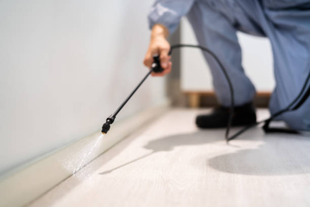 Bed Bug Pre-Treatment Preparation Assessment in Caryville