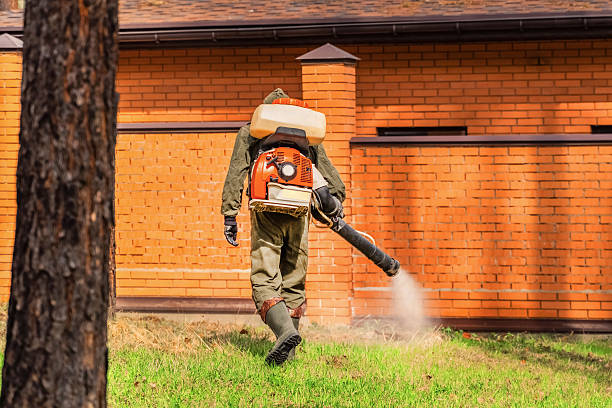 Bed Bug Clearance Verification and Documentation in Caryville